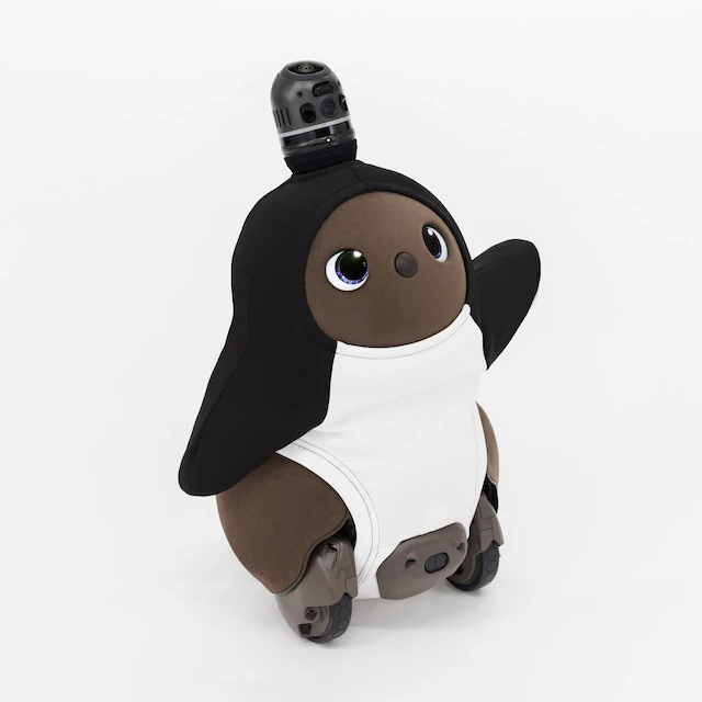 黒い色斜め正面