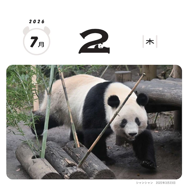 ※撮影日：2022年3月23日　シャンシャン