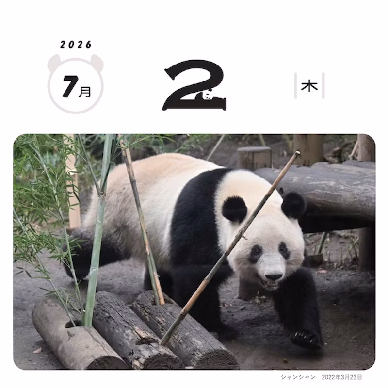 ※撮影日:2022年3月23日 シャンシャン