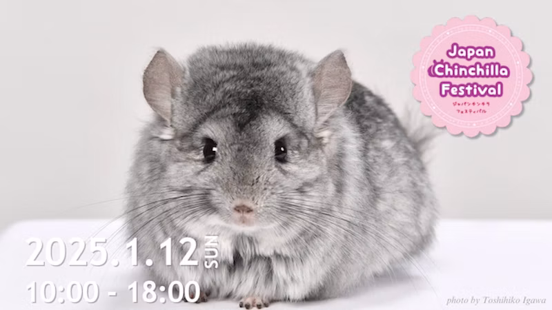 Japan Chinchilla Festivalメインビジュアル