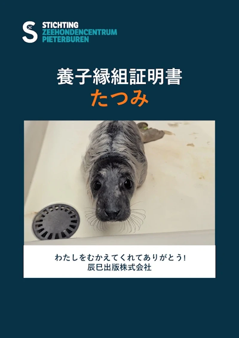 赤ちゃんアザラシ「たつみ」の養子縁組証明書