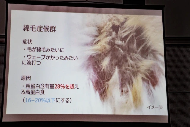 綿毛症候群