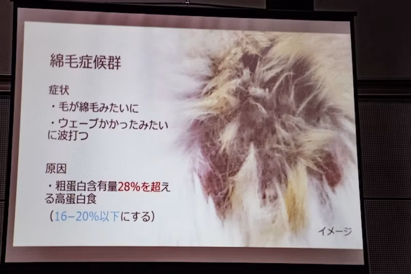 綿毛症候群