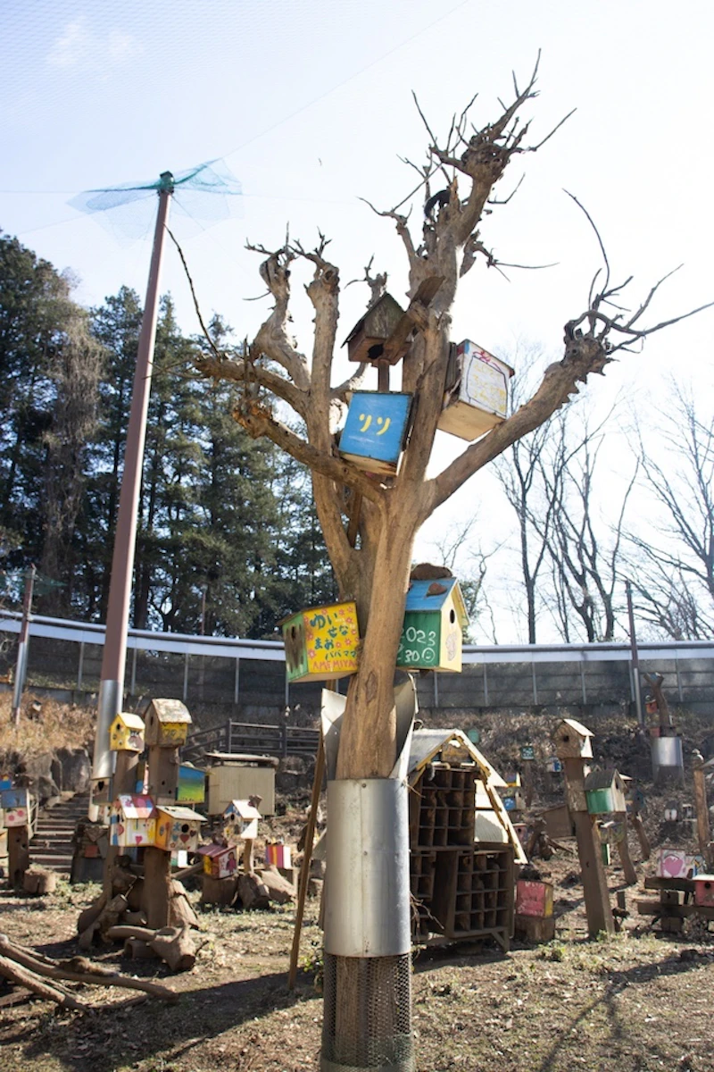 リス用のツリー