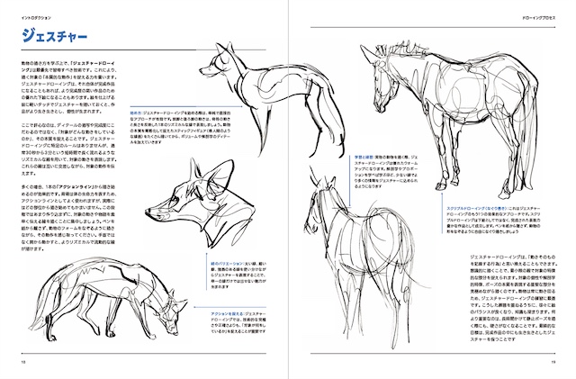 約50体の動物を網羅した『アーティストのための動物解剖学