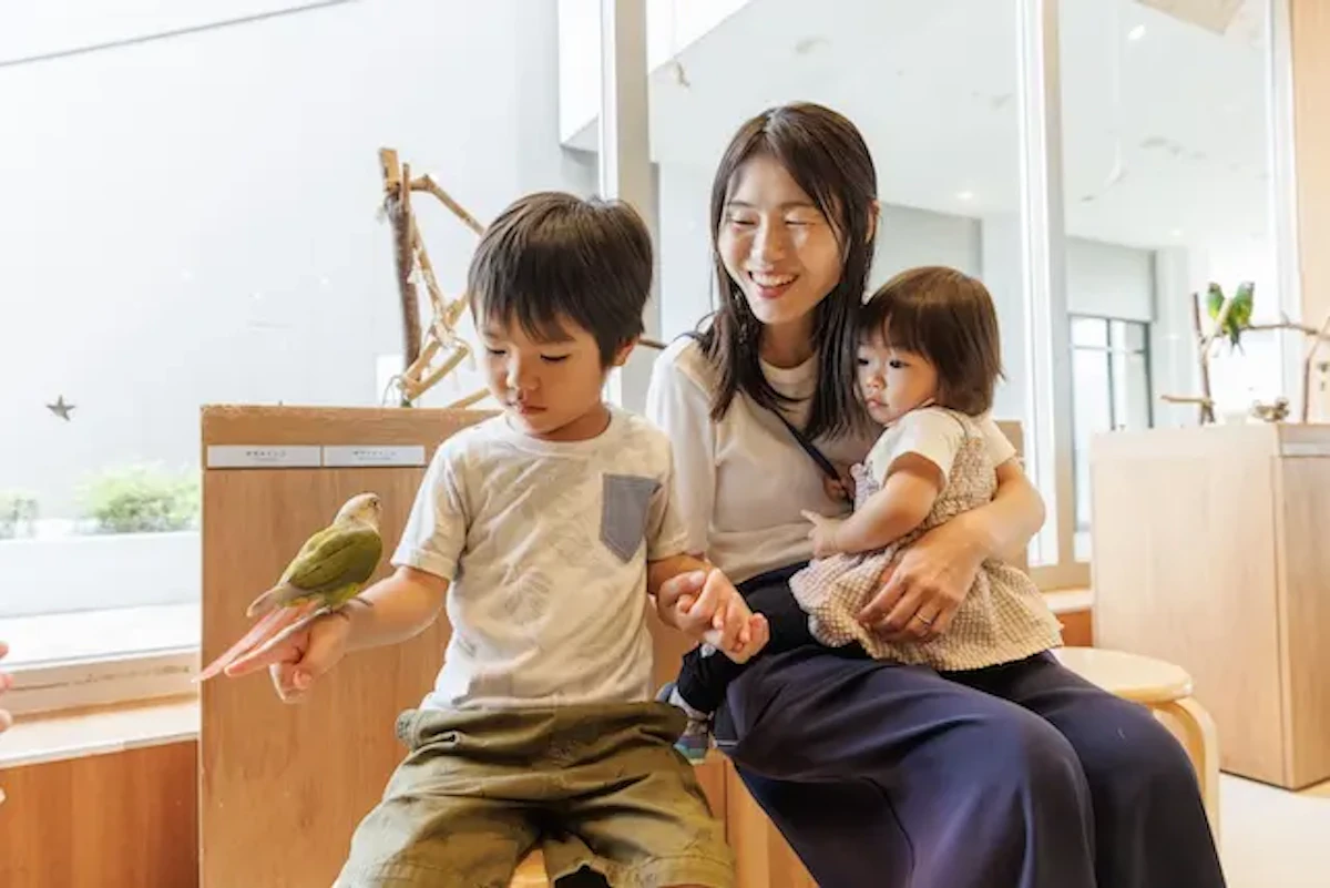 Moff animal cafe イーアスつくば店に、インコとふれあえるコーナーが新設