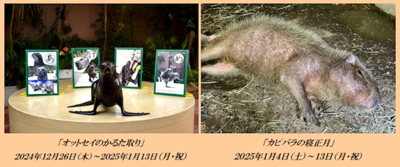 9連休用のお正月コンテンツ