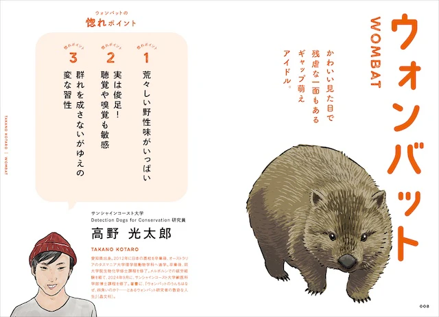 ウォンバット