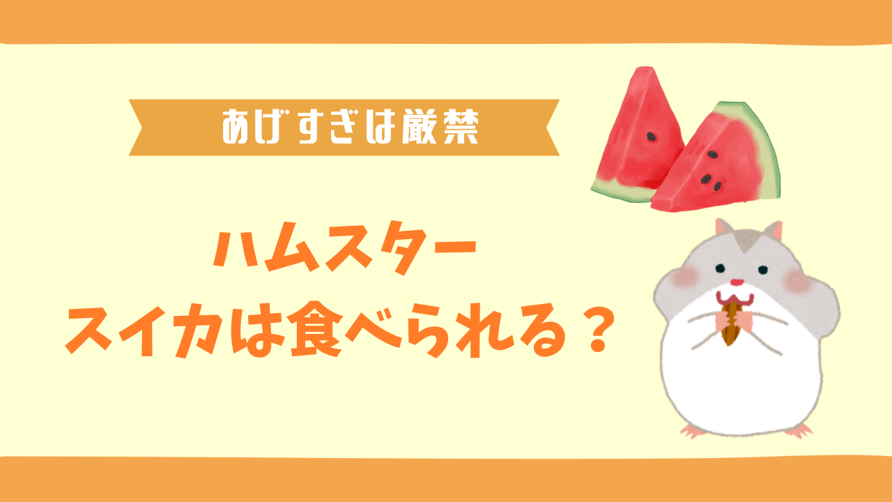 ハムスターはスイカを食べられる？適切な与え方と注意点を解説