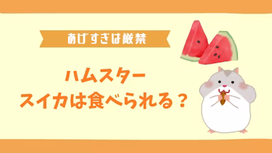 ハムスターはスイカを食べられる？適切な与え方と注意点を解説のサムネイル画像