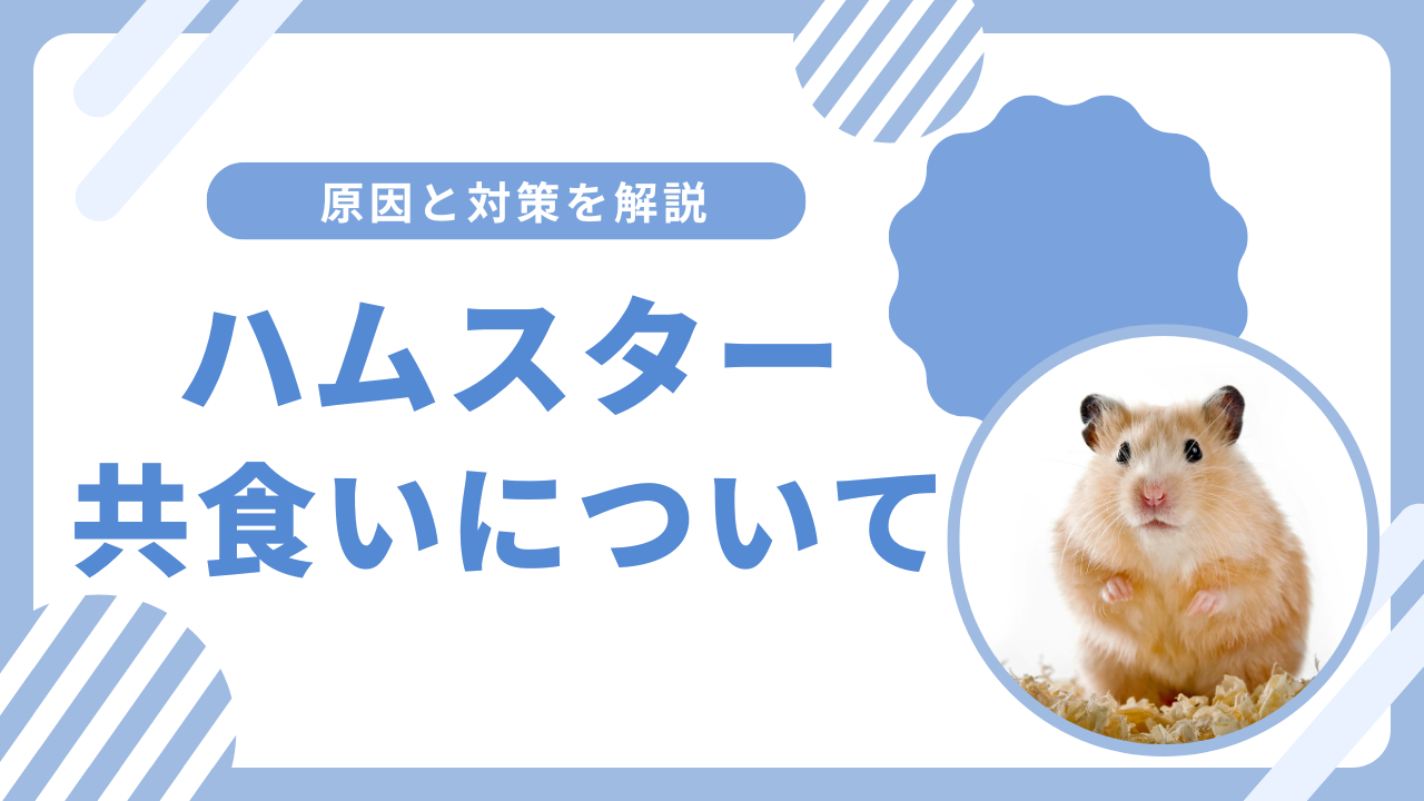 ハムスターの共食いはなぜ起こる?原因と予防法を詳しく解説