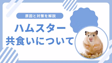 ハムスターの共食いはなぜ起こる？原因と予防法を詳しく解説のサムネイル画像