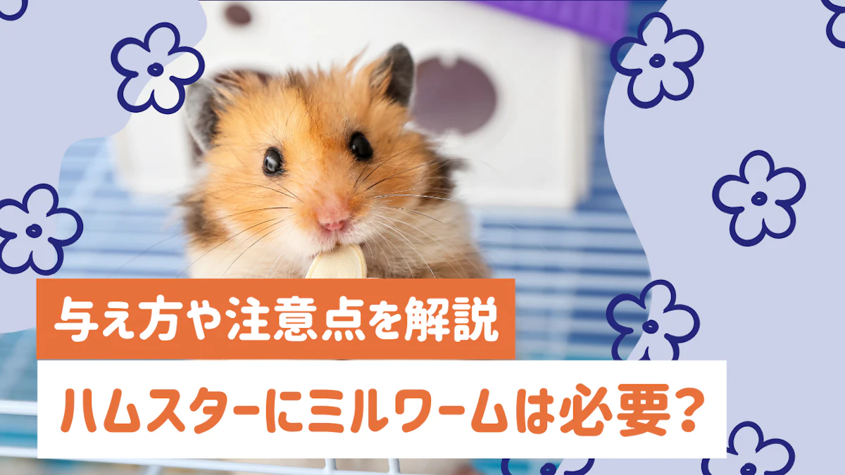 ハムスターにミルワームは必要？与え方や適切な量、注意点を解説