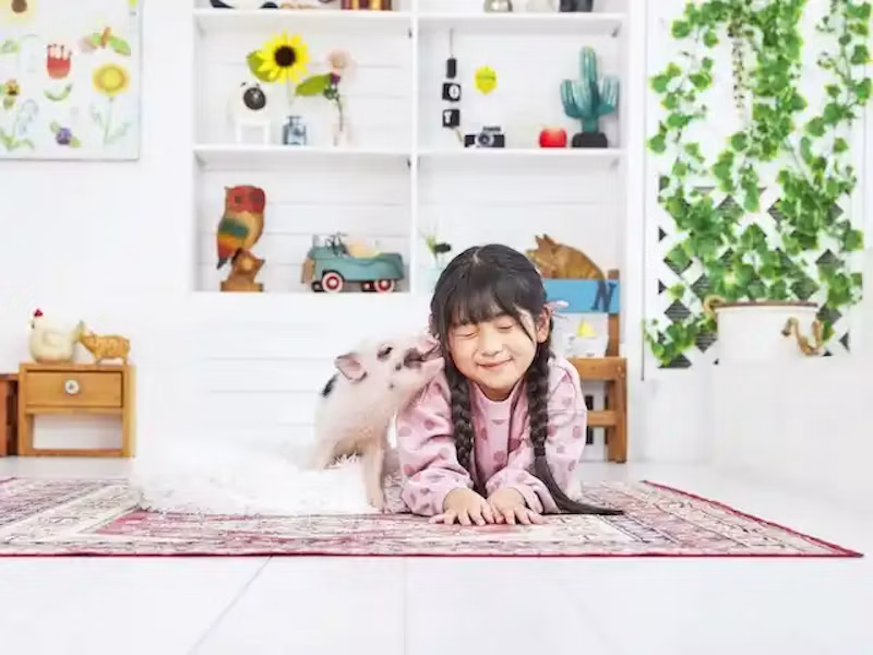 mipigのビジュアル