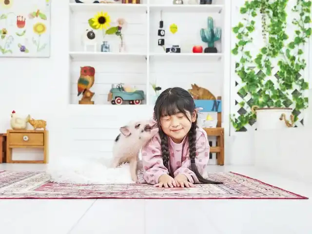 mipigのビジュアル