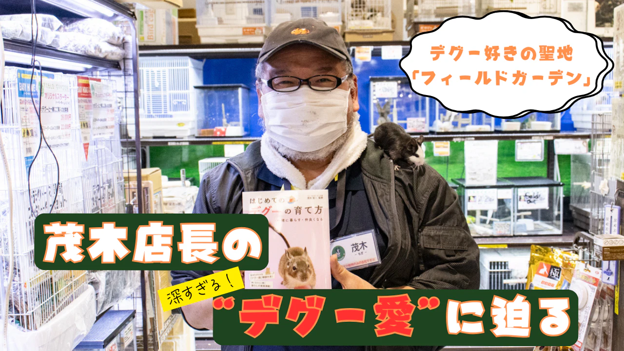 デグー好きの聖地「フィールドガーデン」茂木店長のデグー愛が凄い。育て方のこだわりを語るのサムネイル画像