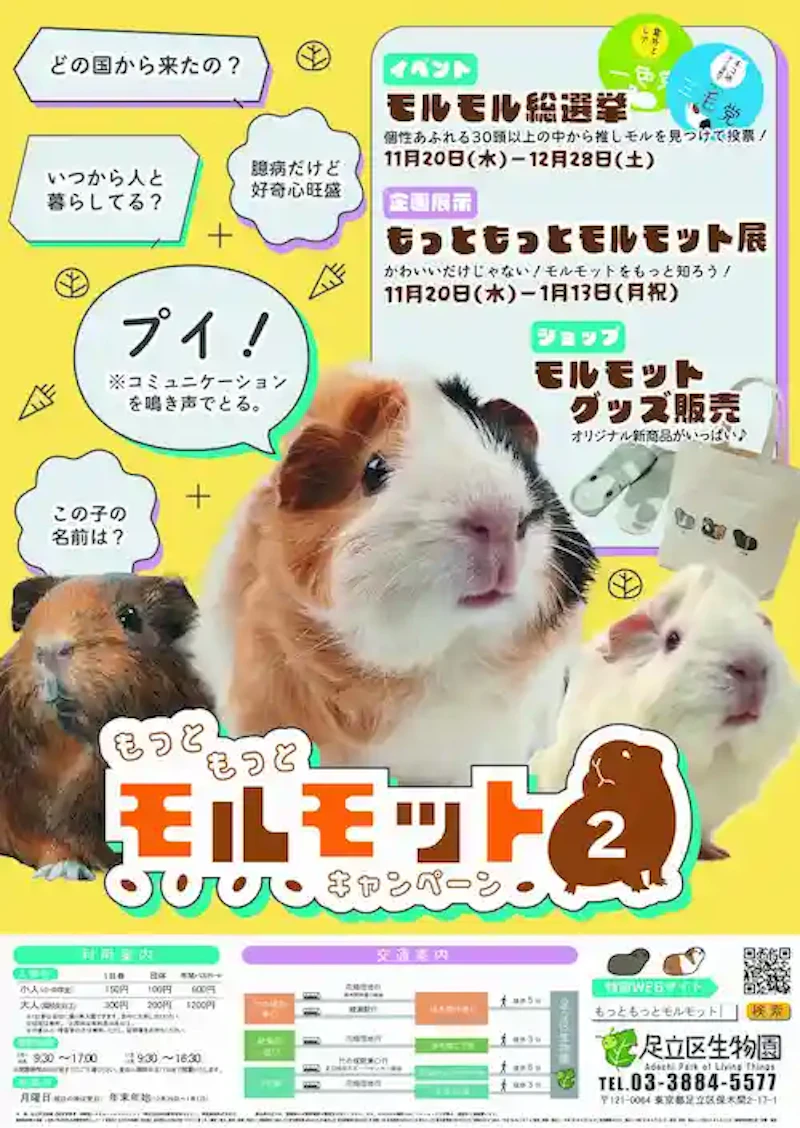 もっともっとモルモットキャンペーン2のポスター