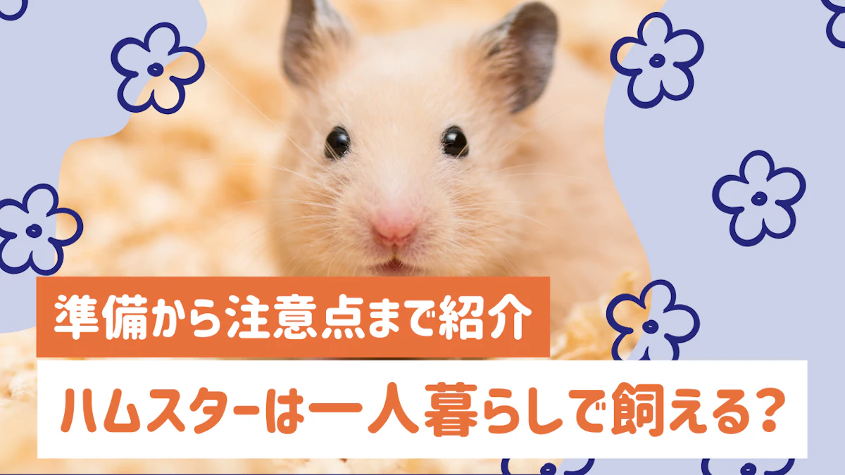 一人暮らしでハムスターを飼うには？初心者向けに準備から注意点まで丸ごと紹介