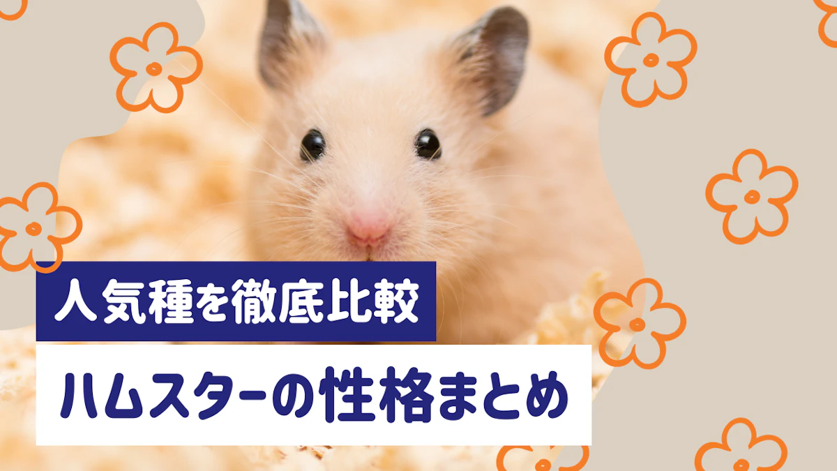 ハムスターの性格は種類で違う？ゴールデン・ジャンガリアンなど人気種を徹底比較