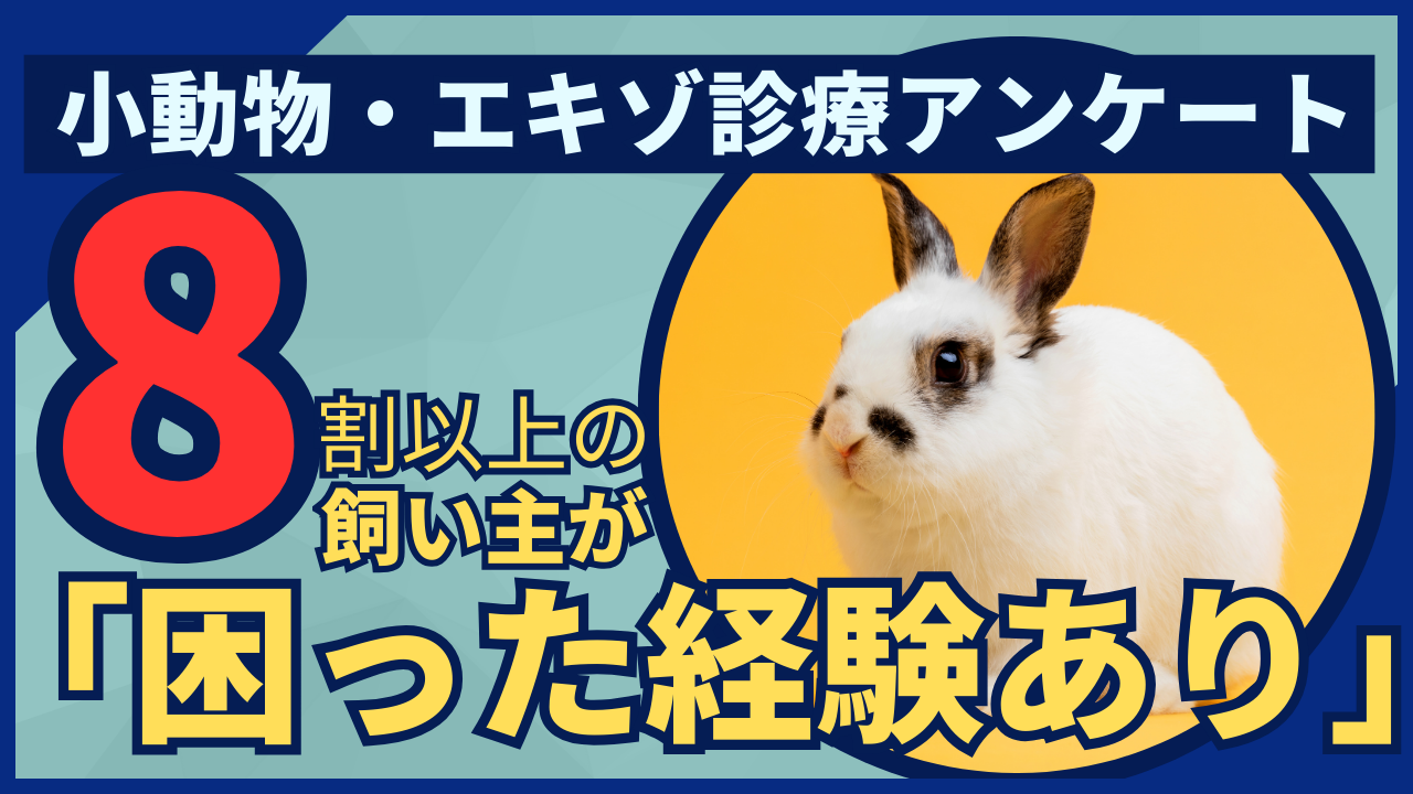 小動物・エキゾチックアニマルの動物病院受診実態調査：飼い主の84.7%が「困った経験あり」、専門医療体制の地域格差が浮き彫りに