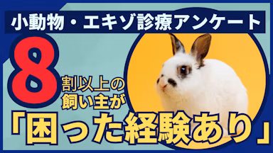 小動物・エキゾチックアニマルの動物病院受診実態調査：飼い主の84.7%が「困った経験あり」、専門医療体制の地域格差が浮き彫りにのサムネイル画像