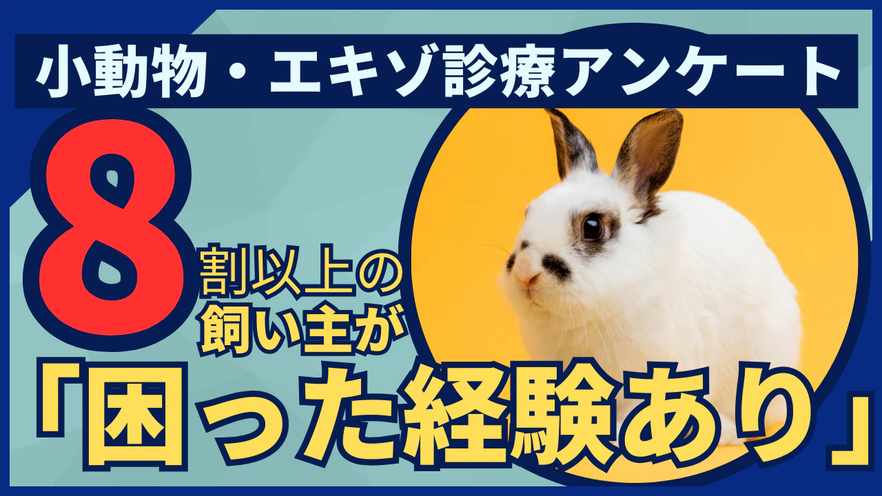 小動物・エキゾチックアニマルの動物病院受診実態調査：飼い主の84.7%が「困った経験あり」、専門医療体制の地域格差が浮き彫りに