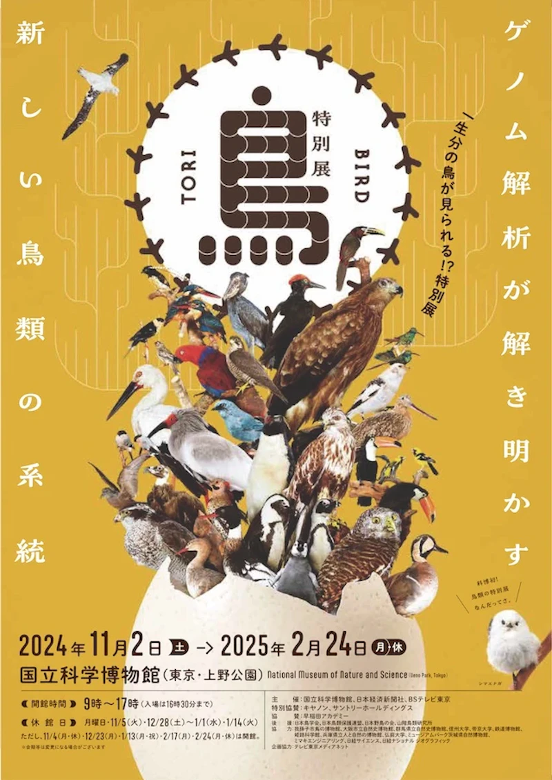特別展「鳥 ～ゲノム解析で解き明かす新しい鳥類の系統～」ポスタービジュアル