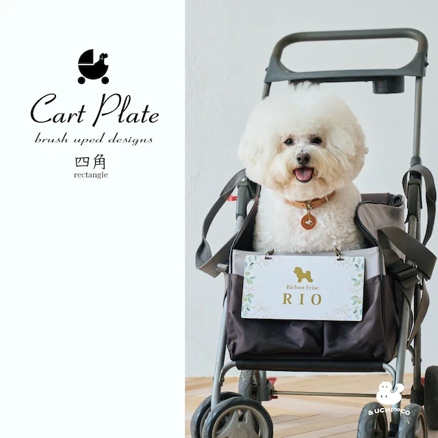 CartPlate四角