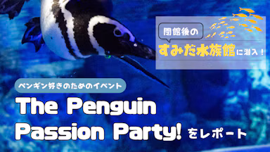 すみだ水族館で「世界ペンギンの日」に特別イベント。トークショー＆撮影会の様子をレポートのサムネイル画像