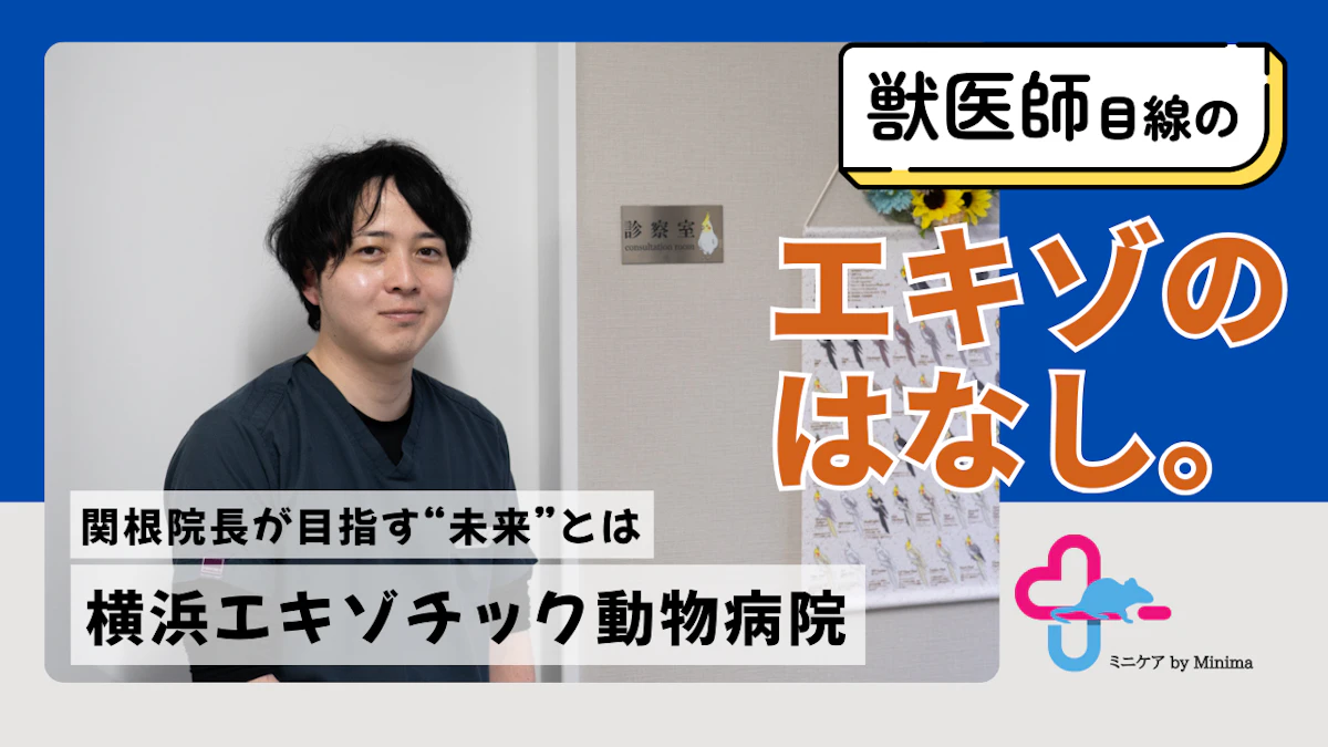 「救える命を増やしたい」横浜エキゾチック動物病院・関根院長が目指す未来とは【エキゾのはなし。#13】のサムネイル画像