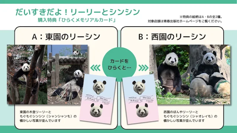 特製ひらくメモリアルカード