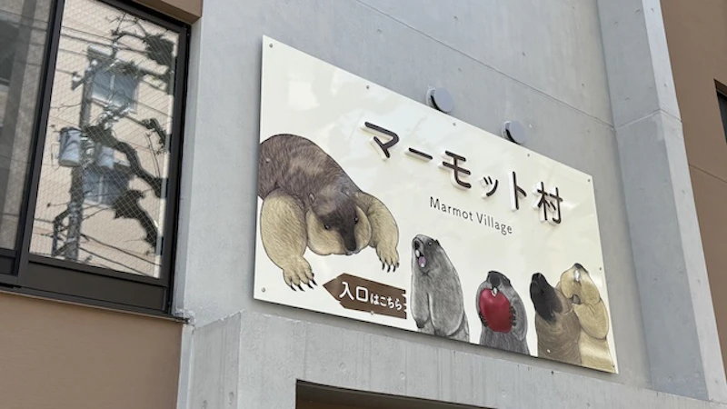マーモット村の外観