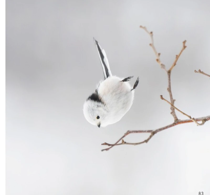 いってきまーす（・⊝・）