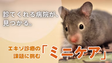 Minima、新サービス「ミニケア」開発へ。小動物と飼い主のための“命を守る情報プラットフォーム”を目指してのサムネイル画像