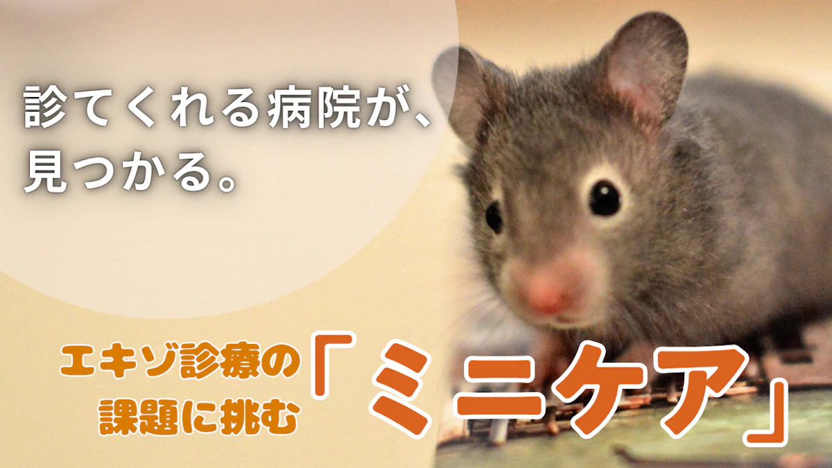 Minima、新サービス「ミニケア」開発へ。小動物と飼い主のための“命を守る情報プラットフォーム”を目指して
