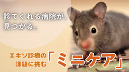 Minima、新サービス「ミニケア」開発へ。小動物と飼い主のための“命を守る情報プラットフォーム”を目指して