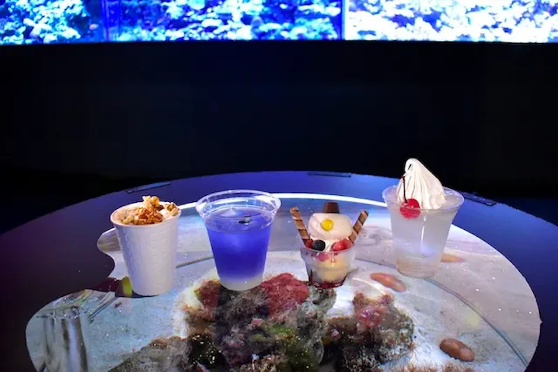 （写真左から） キャラメルポップラテ 800円、ウィンターマリンカルピス 800円、雪だるまサンデー 1,100円、大人のSnowカクテル 1,100円 ※アルコールドリンクです