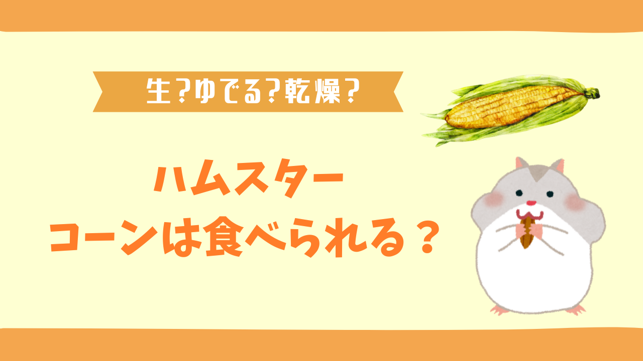 ハムスターはとうもろこしを食べる？生か茹でるか正しい与え方を解説
