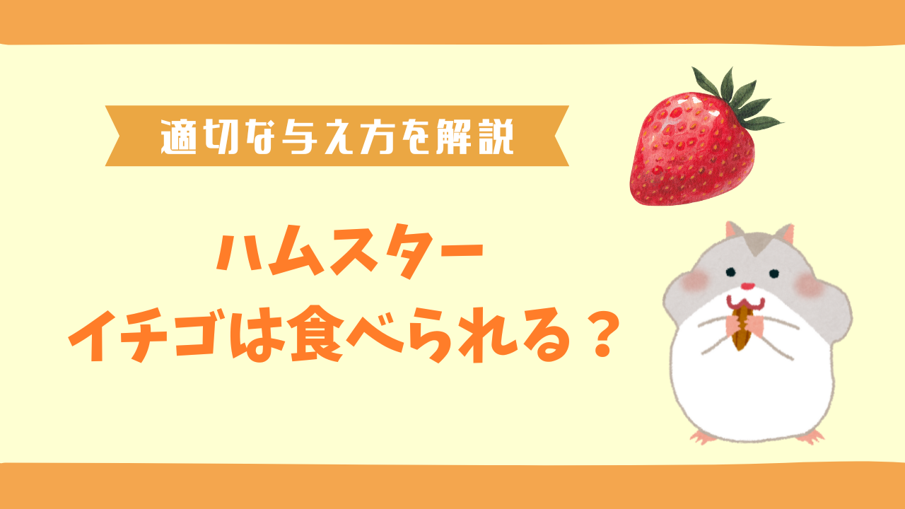 ハムスターはイチゴを食べられる?葉やヘタなど与え方と注意点を解説