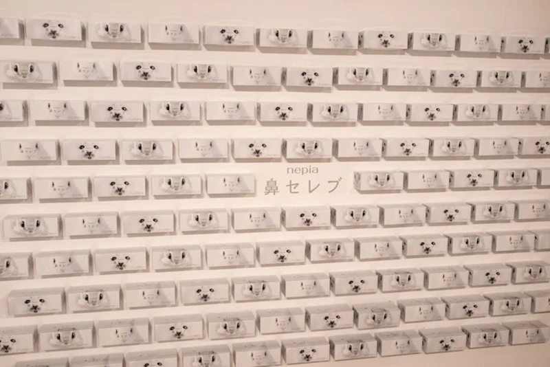 ぎっしりと並んだ鼻セレブパッケージ