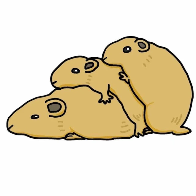 コミュニケーション