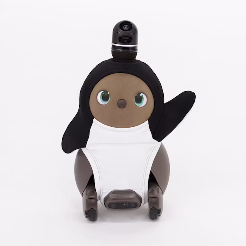 「FRGMT PENGUIN WEAR」商品概要