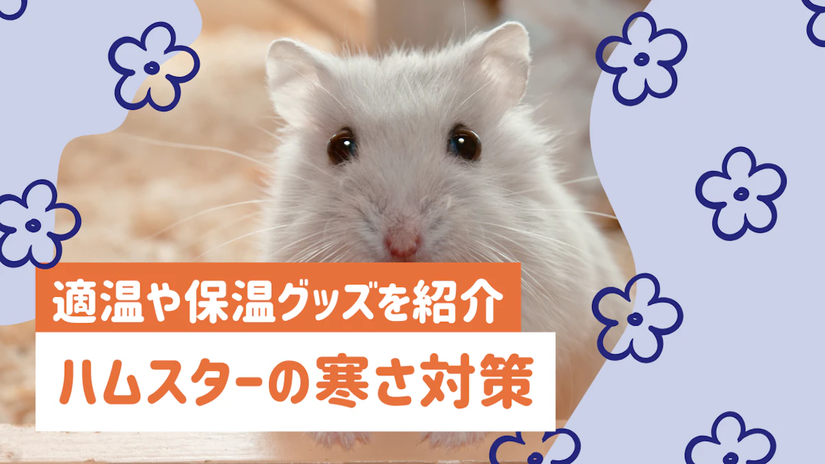 ハムスターの寒さ対策マニュアル|適温や保温グッズ、疑似冬眠の予防法まで解説