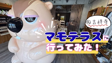 マーモット尽くしの新施設が吉祥寺に誕生！「マモテラス」プレオープンをレポートのサムネイル画像