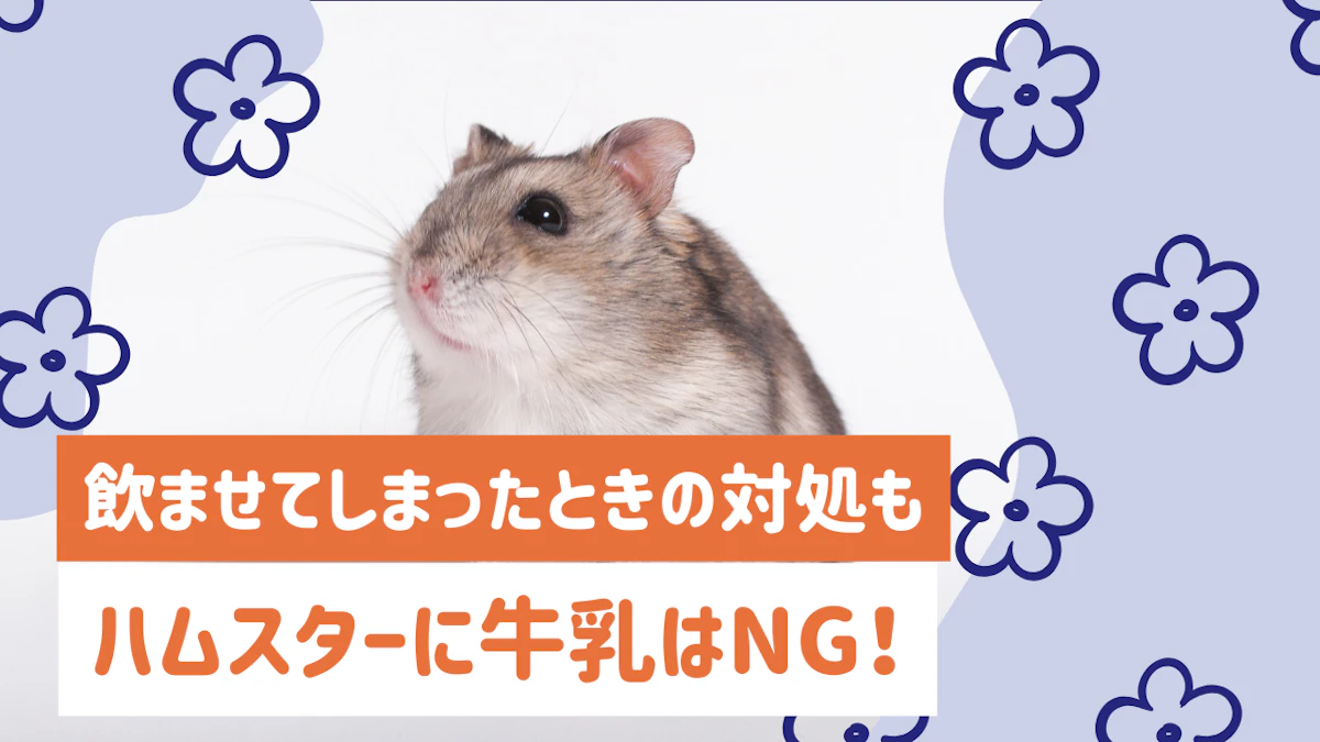 ハムスターに牛乳を与えてはダメ！下痢のリスクと安全な飲み物ガイド