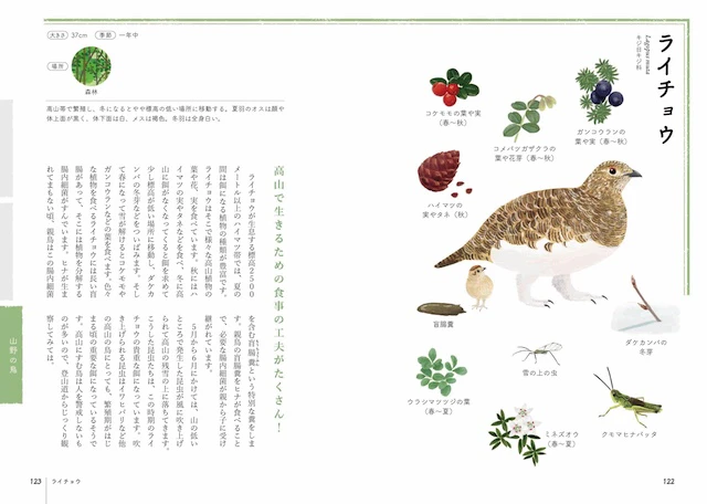 ライチョウ
