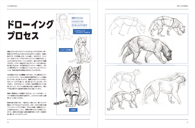 約50体の動物を網羅した『アーティストのための動物解剖学
