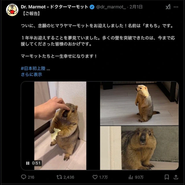 自然界のおじさん…？ヒマラヤマーモットの正規輸入が日本初成功