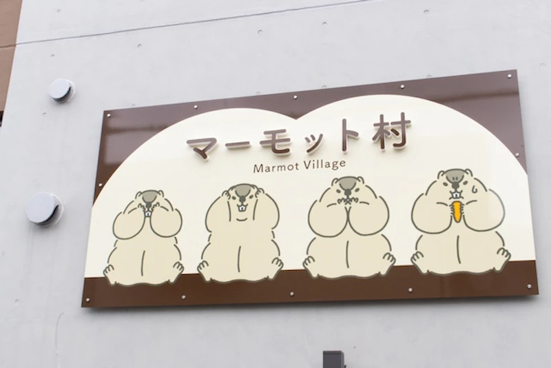 かわいいマーモットのイラストがお店の看板
