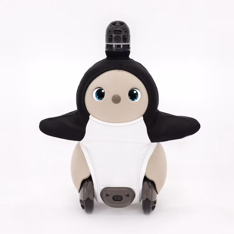 明るい色の正面